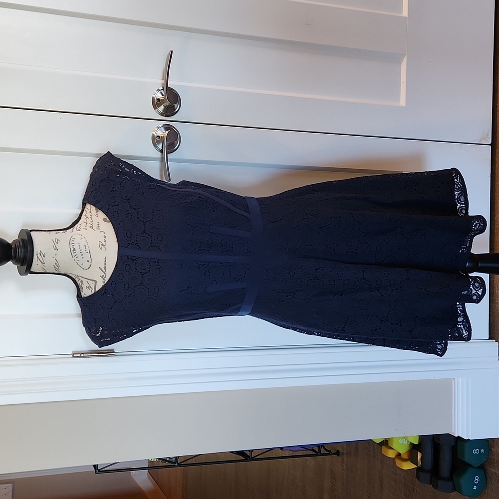 The Limited Navy Lace Dress